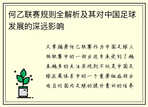 何乙联赛规则全解析及其对中国足球发展的深远影响