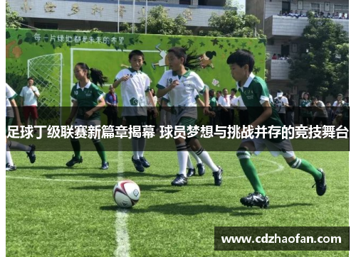 足球丁级联赛新篇章揭幕 球员梦想与挑战并存的竞技舞台