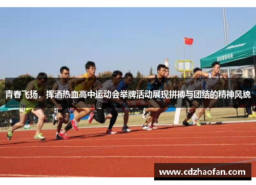 青春飞扬，挥洒热血高中运动会举牌活动展现拼搏与团结的精神风貌
