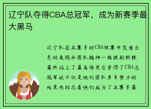 辽宁队夺得CBA总冠军，成为新赛季最大黑马