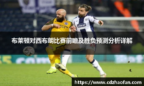 布莱顿对西布朗比赛前瞻及胜负预测分析详解